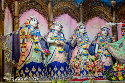 Daily Darshan