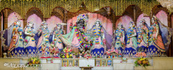 Daily Darshan