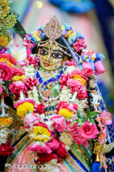 Daily Darshan