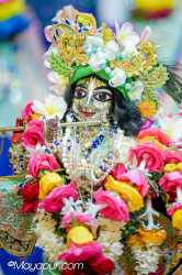 Daily Darshan