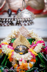 Daily Darshan