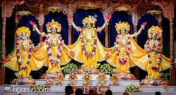 Daily Darshan