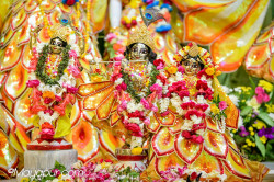 Daily Darshan