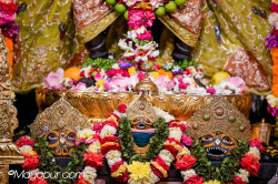 Daily Darshan