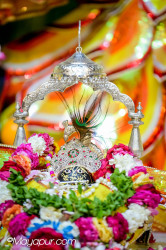 Daily Darshan