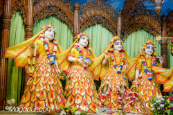 Daily Darshan