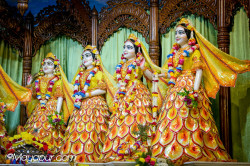 Daily Darshan