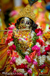 Daily Darshan