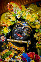 Daily Darshan