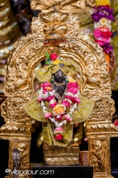 Daily Darshan