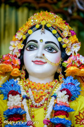 Daily Darshan