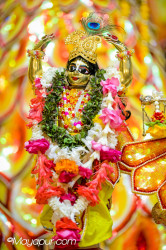 Daily Darshan