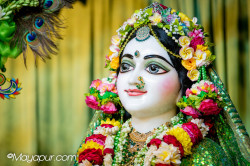 Daily Darshan