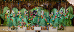 Daily Darshan