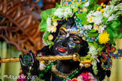 Daily Darshan