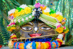 Daily Darshan