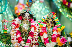 Daily Darshan