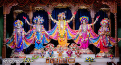 Daily Darshan