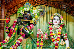 Daily Darshan