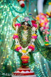 Daily Darshan