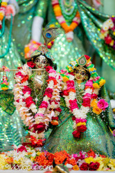 Daily Darshan