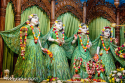 Daily Darshan