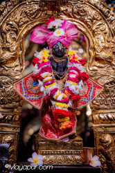 Daily Darshan