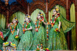 Daily Darshan