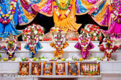 Daily Darshan