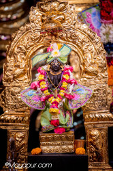 Daily Darshan