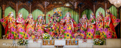 Daily Darshan