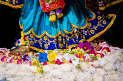 Daily Darshan