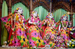 Daily Darshan