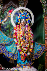 Daily Darshan