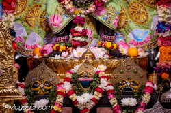 Daily Darshan