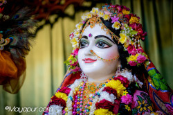 Daily Darshan