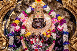 Daily Darshan