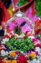 Daily Darshan