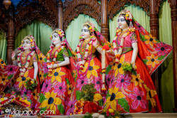 Daily Darshan