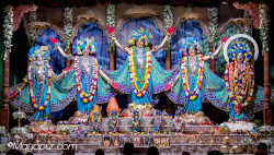 Daily Darshan