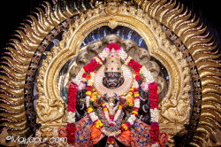 Daily Darshan