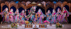 Daily Darshan