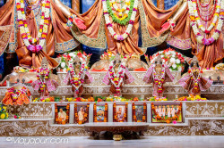 Daily Darshan