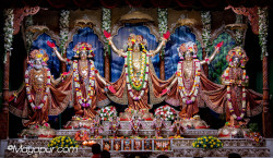 Daily Darshan