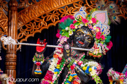 Daily Darshan