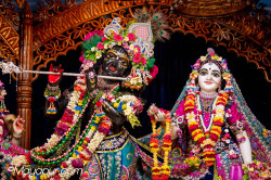 Daily Darshan