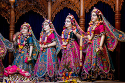 Daily Darshan