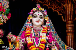 Daily Darshan