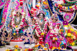 Daily Darshan