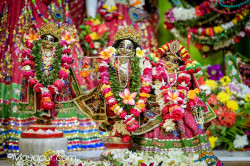 Daily Darshan